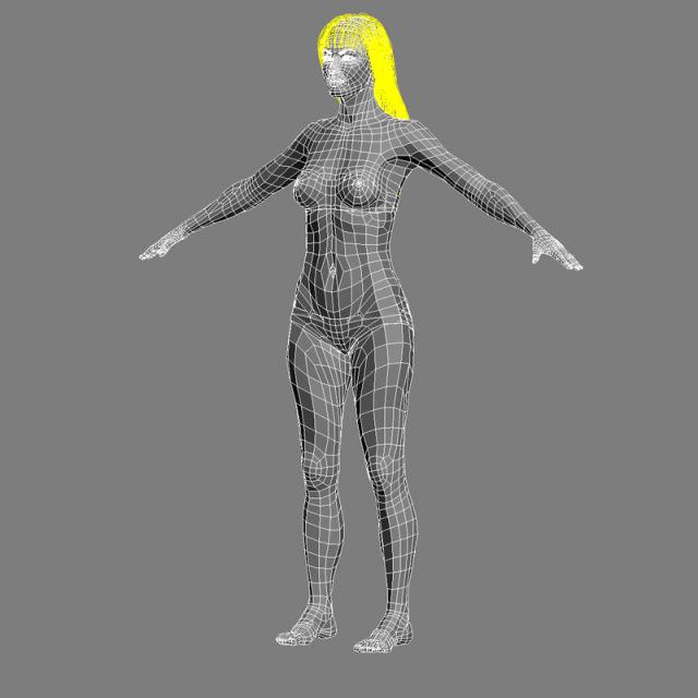 female anatomy 3d model turbosquid 3d female characters models turbosquid