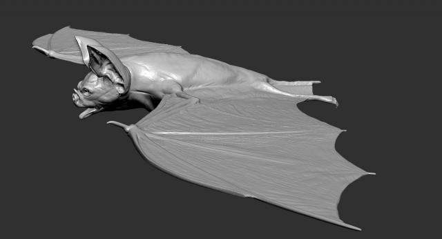 3d model vampire bat rigged
