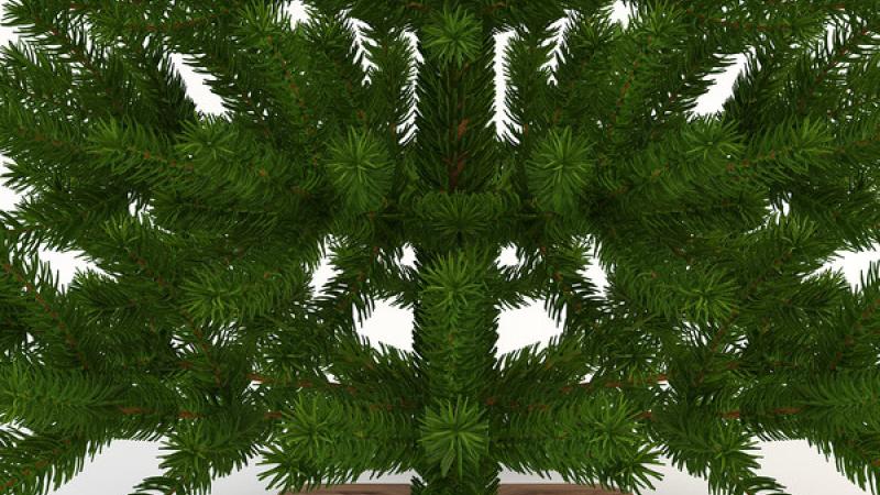 Christmas Tree 3d model image 3