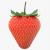 strawberry 3d model turbosquid