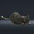 kitty rigged animated 3d model turbosquid 