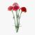 carnation bouquet 3d model turbosquid