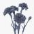 flora carnation 3d model turbosquid 