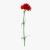 red carnation 3d model turbosquid