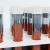Test Tubes with Covid-19 Sign 3d model turbosquid