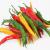 mexican peppers 3d model turbosquid