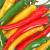 spicy food 3d model turbosquid