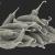bunch chili peppers 3d model turbosquid