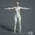 3d model female body