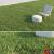 lawn grass 3d model turbosquid