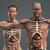 3d model male and female anatomy