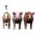 female pig anatomy 3d model turbosquid