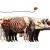 pig skeleton anatomy 3d model turbosquid