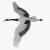 stork bird 3d model turbosquid