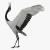 large east asian crane 3d model turbosquid