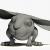 cute bunny 3d model rigged turbosquid