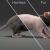 rat with and without fur 3d model turbosquid