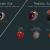 simple and realistic eye of a rat 3d model turbosquid
