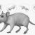 rat 3d model maya and Arnold render