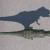 dinosaur rex 3d model turbosquid