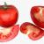 3d model of tomato