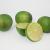 lime 3d model vizpark