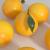set of oranges 3d model vizpark