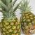 pineapples 3d model vizpark