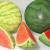 watermelon 3d model vizpark