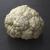 cauliflower 3d model turbosquid