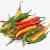 chili peppers 3d models turbosquid