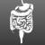 3d model of human digestive system turbosquid vray 3dsmax