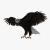 bird 3d model turbosquid 