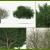 green tree 3d model