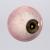 human eye 3d model turbosquid