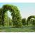 european hornbeam tree 3d model vizpark
