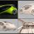 electric car 3d model 3dexport
