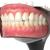 human teeth 3d model turbosquid