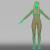 3d female anatomy model turbosquid