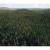 mixed landscape forest 3d model vizpark
