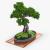 small tree 3d model turbosquid