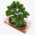 evergreen tree 3d model turbosquid