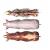 pig anatomy 3d model turbosquid