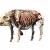 pig skeleton 3d model turbosquid