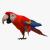 rigged bird 3d model turbosquid
