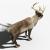 reindeer 3d model turbosquid 