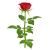 rose for bouquet 3d model turbosquid