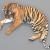 siberian tiger 3d view 3d model turbosquid